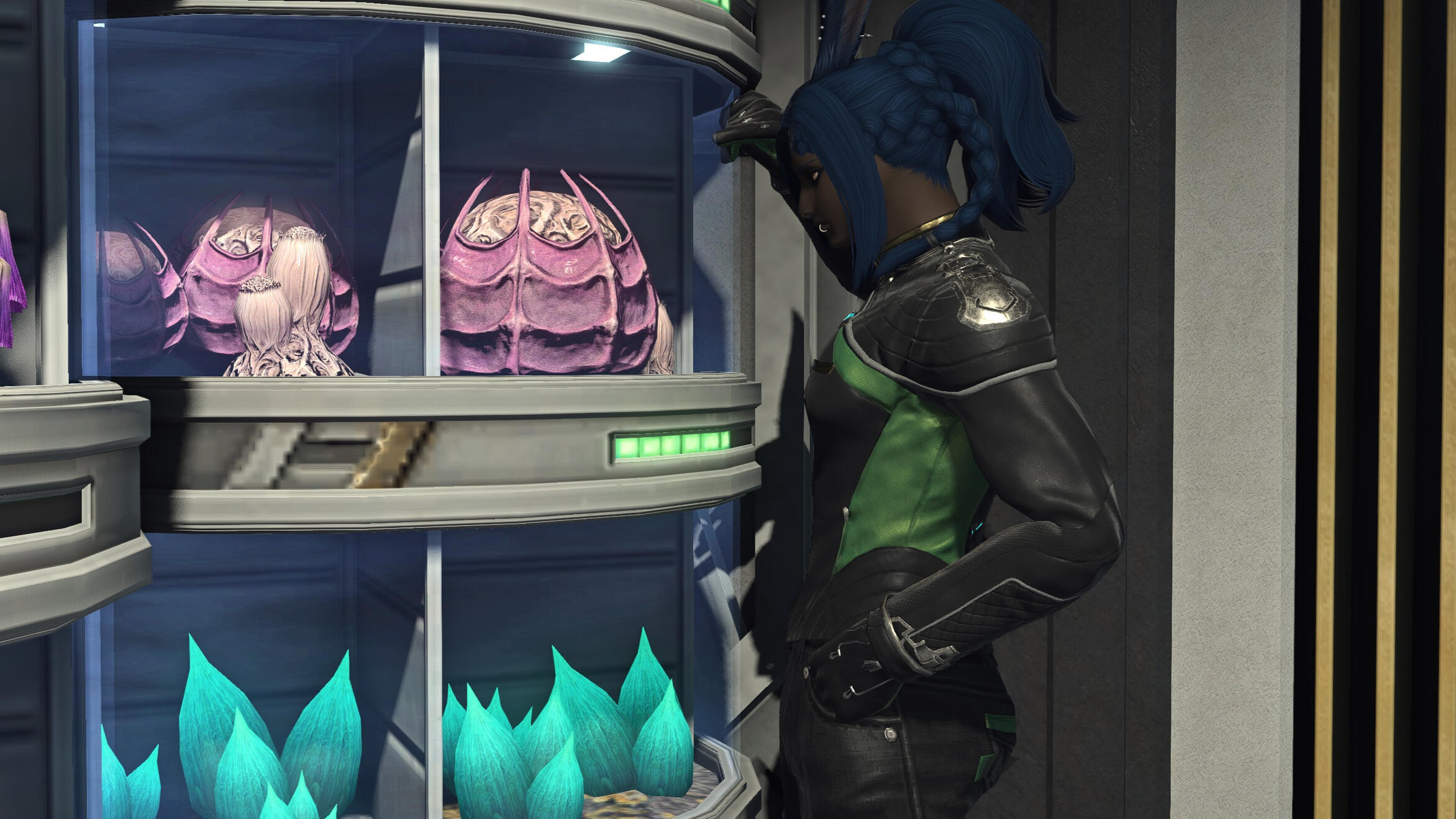 No one's told Naja that the fungi won't grow faster no matter how long you stare at it